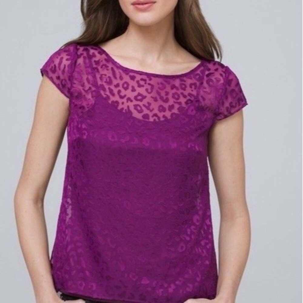 WHBM Top Large Women's Purple Sheer Leopard Print Burnout Shorts Sleeve Hi-Lo
